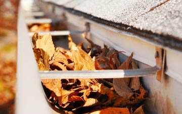 Low Greenside gutter cleaning companies